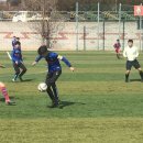 고성군스포츠타운 축구장 이미지