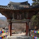 청샘가 | 전라도여행 ㅣ 샘이 숨은 사찰 지리산 천은사 매화 향기는 짙고