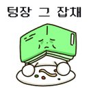 udogpia 유독피아 이미지