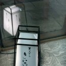 신사로 | 신사 - 덴푸라 키이로 /덴푸라 오마카세 후기