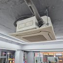 건대역 미용실에서 자연스러운 스타일 변신: 아이언맨즈헤어 곱슬아이롱펌 후기