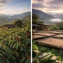 신흥농장 | 콜롬비아 원두, 왜 늘 실패가 없을까요…?