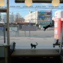 수락동물병원 이미지