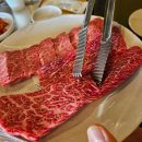 [대전] 중구 한우 맛집 &#39;대포한우&#39; : 투뿔 소고기 맛집