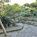 월평다라쿳당 이미지