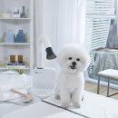 아임그루머 | 두즈(duz): 세계 최초의 핸즈프리 드라이기