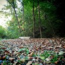 힐링펜션 이미지