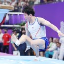 제천체육관 올림픽스포츠센터 이미지