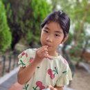 스파이더캔디(주) 이미지