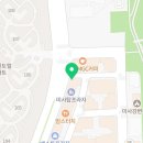 퍼피 비비드 강아지분양 하남미사본점 이미지