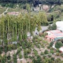 동산위의 교회 이미지