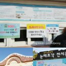 행원도예 | 경기도 겨울축제[장흥자연휴양림 양주 눈꽃축제] 줄썰매 눈썰매 얼음썰매 빙어잡기