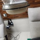 홈크린세탁 | 비치움홈크린시흥점 쇼파청소☆고양이털 때문에 급하게 맡긴 솔직 후기