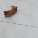 라끄베르 펜션 네이버블로그