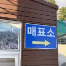 향목 | 울릉도 여행 2일차 태하향목 관광모노레일 후기