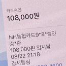 강서등심 | 강서구 가양역 소고기 맛집 강서등심 내돈내산 후기