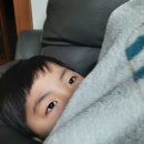 김정훈이비인후과의원 네이버블로그