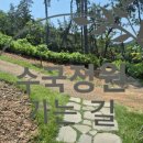 더 포레스트 이미지