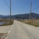 용심농장 Daum카페