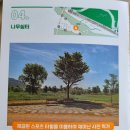 하단동1195 이미지