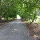 호두나무캠핑장 이미지