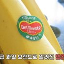 진차이 이미지