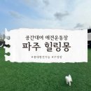 파주힐링몽 이미지