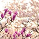 굿라이프휘트니스 이미지