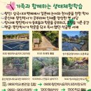 시종초등학교 더코리아