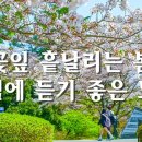 아침에 듣기 좋은 노래🎶오늘은 모든지 잘 될 기분이에요💐하루를 열어주는 데일리 연주곡 이미지