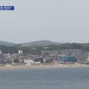 바다생선 이미지