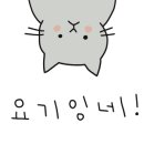 라펠리스 이미지