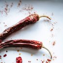 피트니스 화도 이미지