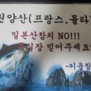 일본산NO!!!/원양산(프랑스,몰타) /망원동키움참치/망원참치/합정참치/마포참치/ 이미지