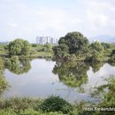 금강역 레일카페 이미지