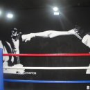 나영철복싱클럽 이미지