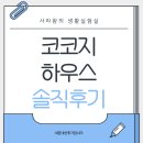 하니하우스 | 코코지하우스 내돈내산 두돌아기 추천 비추천 솔직 후기