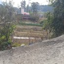 완도읍-13 이미지