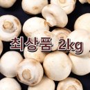 달싱상회
