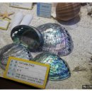 창조자연사박물관 이미지