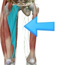 새움한의원 이미지