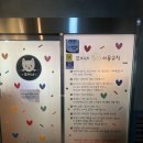 동네강아지 | 강아지 없어도 OK! 수진역 강아지카페 모찌네호캉스 솔직후기
