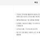 대가연마취통증의학과의원 이미지