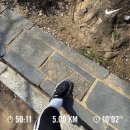 러닝다이어트 혼자 인생네컷 찍기 을지로 곱창맛집추천(전가곱창) 남산벚꽃구경 주말일상 을지로술집...
