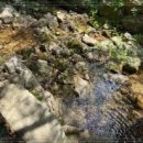 청수가든 이미지