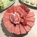 참치랑한잔회 | 대구 종로 맛집 참치회 코스 가성비 탑인 종로다랑 솔직후기