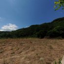 New탑공인중개사사무소 이미지