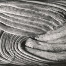 뮤지엄 한미 이미지