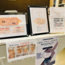 에코메디스킨케어
