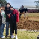 한울목장 이미지